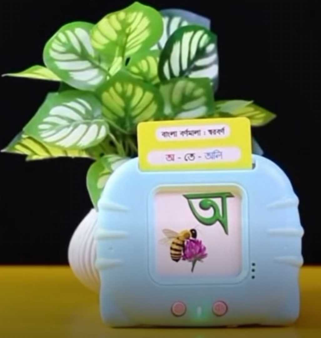 Kids,Educational,Flash,Card,Toy,(খেলতে,খেলতে,শেখা)